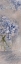 Picture of HYDRANGEA 2