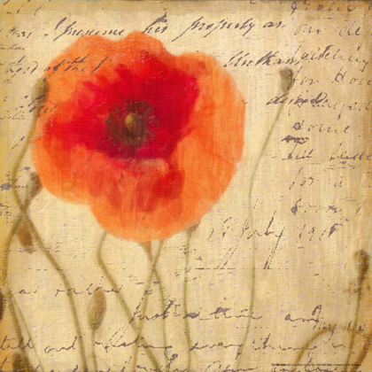 Picture of POPPY SCRIPT I