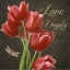Picture of LOVE DEEPLY