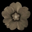 Picture of SEPIA FLORAL I