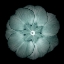 Picture of DAYLIGHT FLORAL II