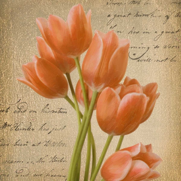 Picture of ORANGE TULIP I ON GOLD