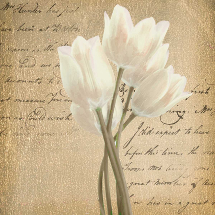 Picture of WHITE TULIP  ON GOLD