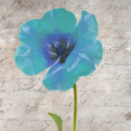 Picture of BLUE SCRIPTED FLORAL I