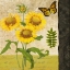 Picture of FLORAL III