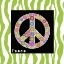 Picture of PEACE