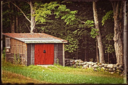 Picture of COUNTRY RED DOOR SHACK VINTAGE