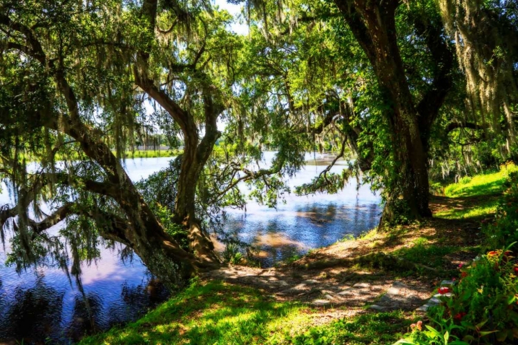 Picture of ASHLEY RIVER BANK I