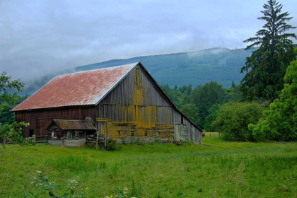 Picture of BARN IN THE MIST