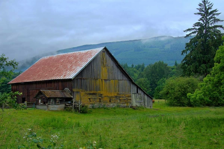 Picture of BARN IN THE MIST