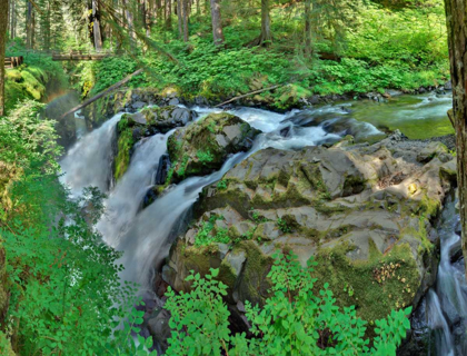 Picture of PORT ANGELES FALLS I