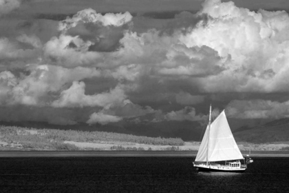 Picture of PORT TOWNSEND SAILBOAT II