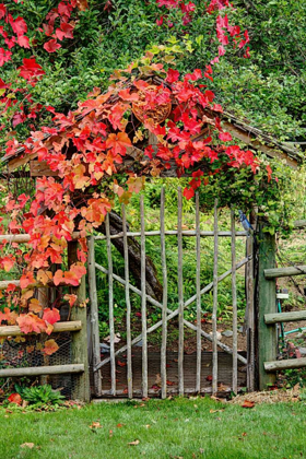 Picture of THE GARDEN GATE