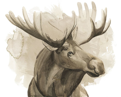 Picture of BULL MOOSE I