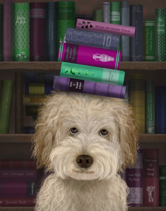 Picture of LABRADOODLE, CREAM, AND BOOKS