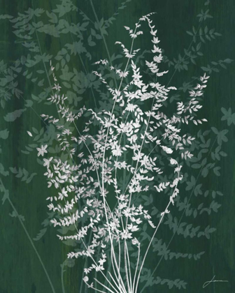 Picture of JEWEL FERNS II