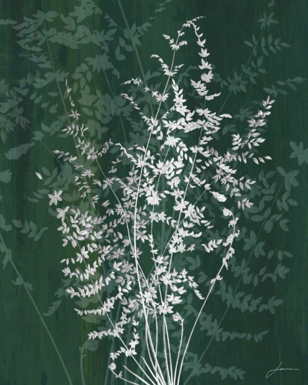 Picture of JEWEL FERNS II