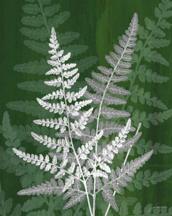 Picture of JEWEL FERNS IV