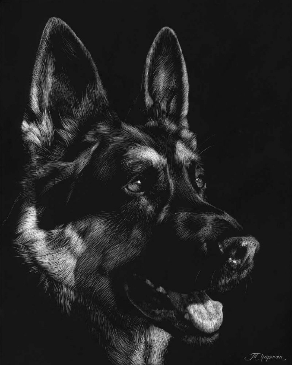 Picture of CANINE SCRATCHBOARD I