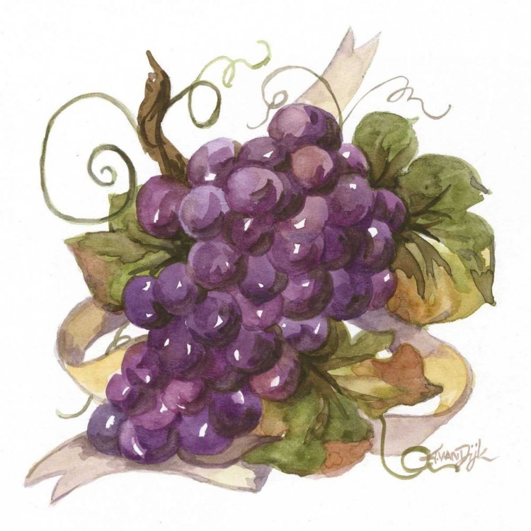 Picture of WATERCOLOR GRAPES I