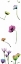 Picture of FLORAL RAINBOW PATTERN