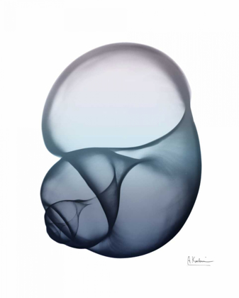 Picture of LAVENDER SNAIL 1