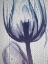 Picture of AUBERGINE TEXTILES 1