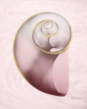 Picture of MARBLE BLUSH SNAIL 2