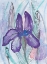 Picture of VIOLET IRIS
