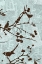Picture of BIRD BRANCHES B