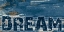 Picture of DREAM GRUNGE