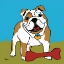 Picture of BULLDOG 1