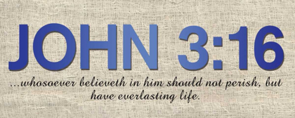 Picture of JOHN 316