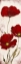 Picture of RED LOOK