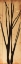 Picture of WOODEN BRANCH