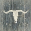 Picture of IN THE WEST 1