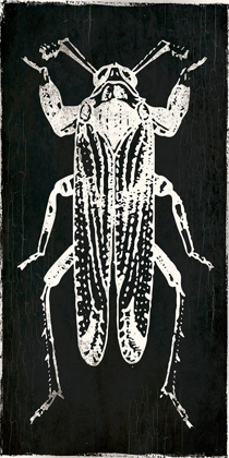 Picture of BUG LIFE FOUR BLACK