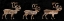Picture of HUNTERS CATCH