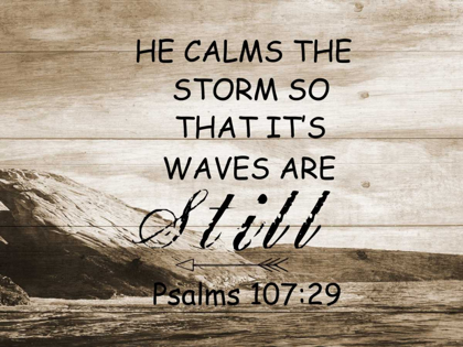 Picture of HE CALMS THE STORM