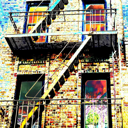 Picture of COLORFUL LIFE BROOKLYN