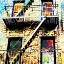 Picture of COLORFUL LIFE BROOKLYN
