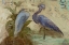 Picture of EGRET PAIR 2