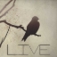 Picture of LIVE SILHOUETTE