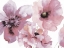 Picture of FLOWERING PINK HUES 1