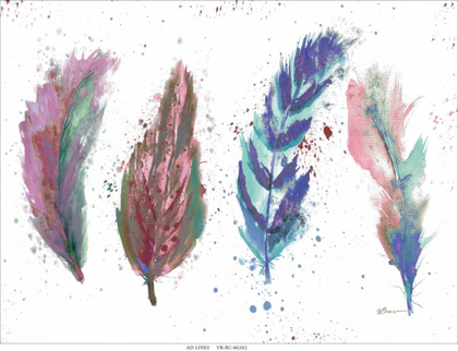 Picture of NATURES FEATHERS