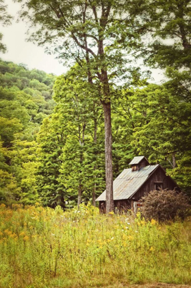 Picture of COUNTRY BARN 2 VERTICAL VINTAGE