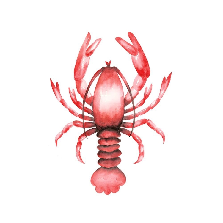 Picture of LOBSTER