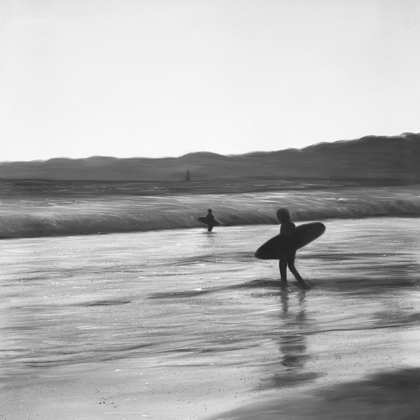 Picture of SURFERS