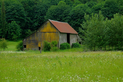 Picture of NORTH CASCADES BARN