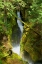 Picture of NORTH CASCADES NP III